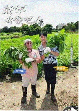 天上人间影院综艺动漫在线观看深夜食谈